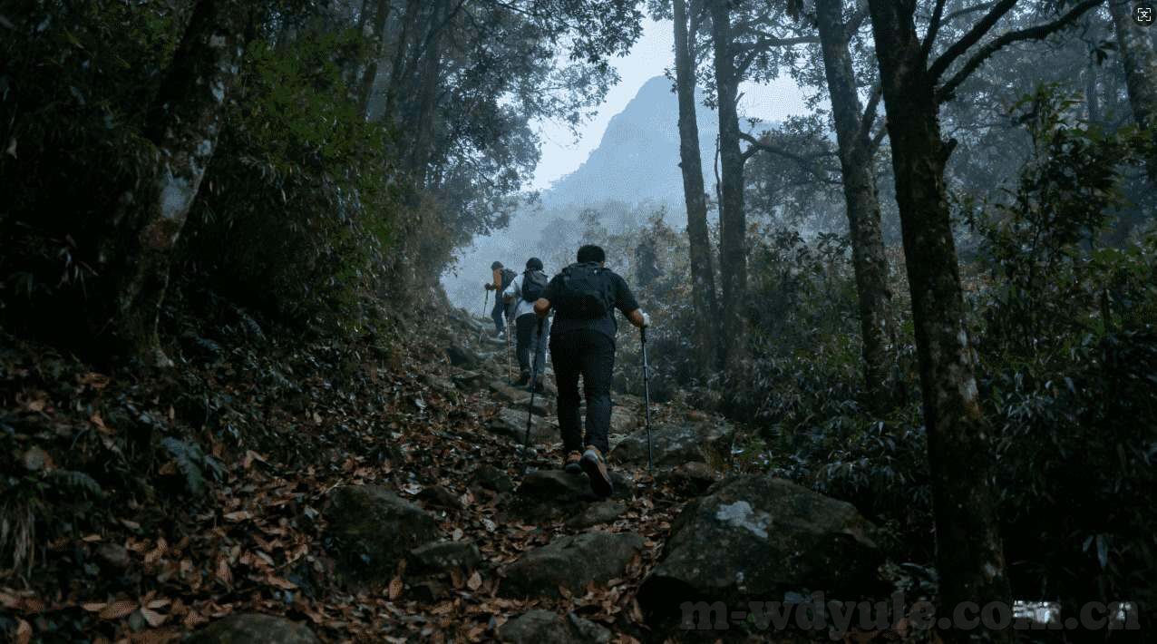 360天鸿德州扑克-360天鸿德州扑克，一场智慧与策略的较量